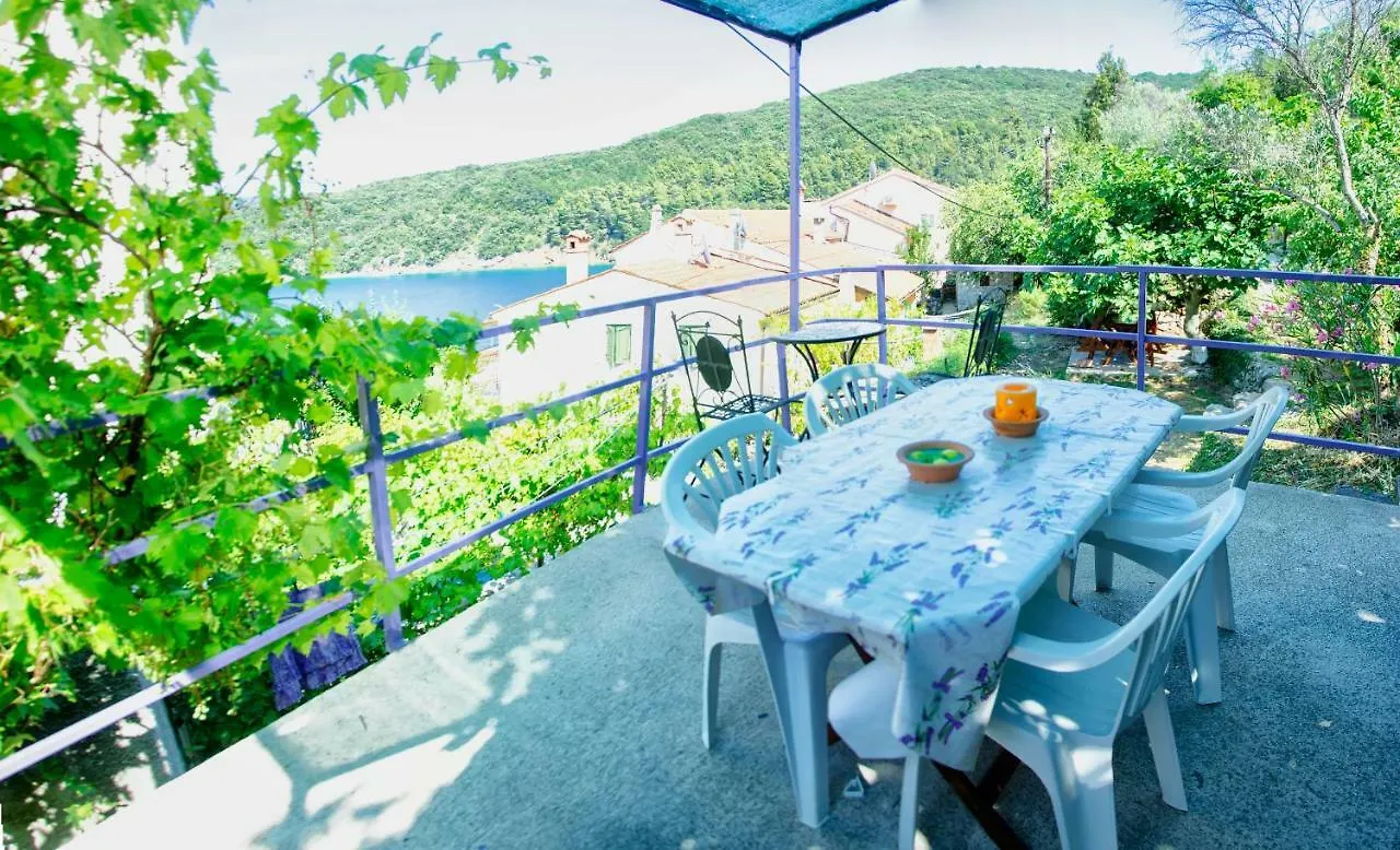 Apartments & Room Toni Valun